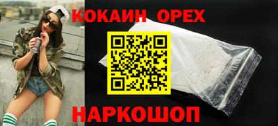 крисы Кунгур