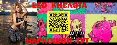 крисы Кунгур