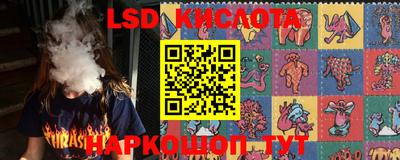 крисы Кунгур