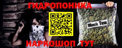 крисы Кунгур
