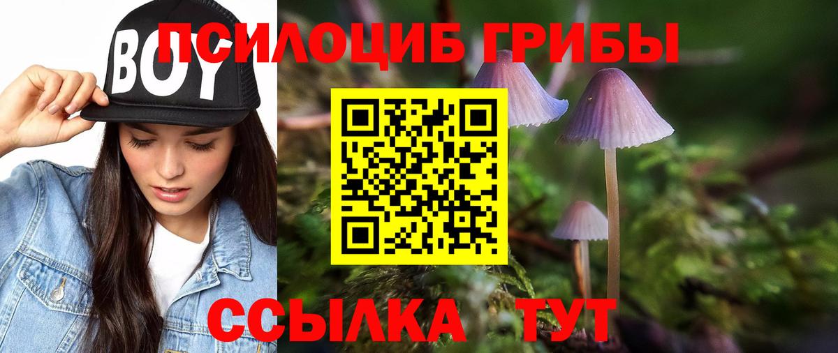 Галлюциногенные грибы Psilocybe  Вход с VPN  где можно купить   Волжский 